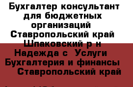 Бухгалтер консультант для бюджетных  организаций - Ставропольский край, Шпаковский р-н, Надежда с. Услуги » Бухгалтерия и финансы   . Ставропольский край